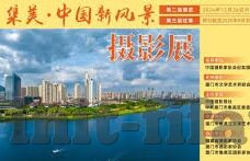 电玩城森林舞会打法-电玩城森林舞会，掌握技巧，畅享欢乐