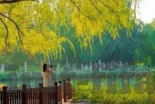 伦敦团体世界杯决赛-伦敦团体世界杯决赛，荣耀与挑战的巅峰对决